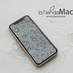 iPhone mojado